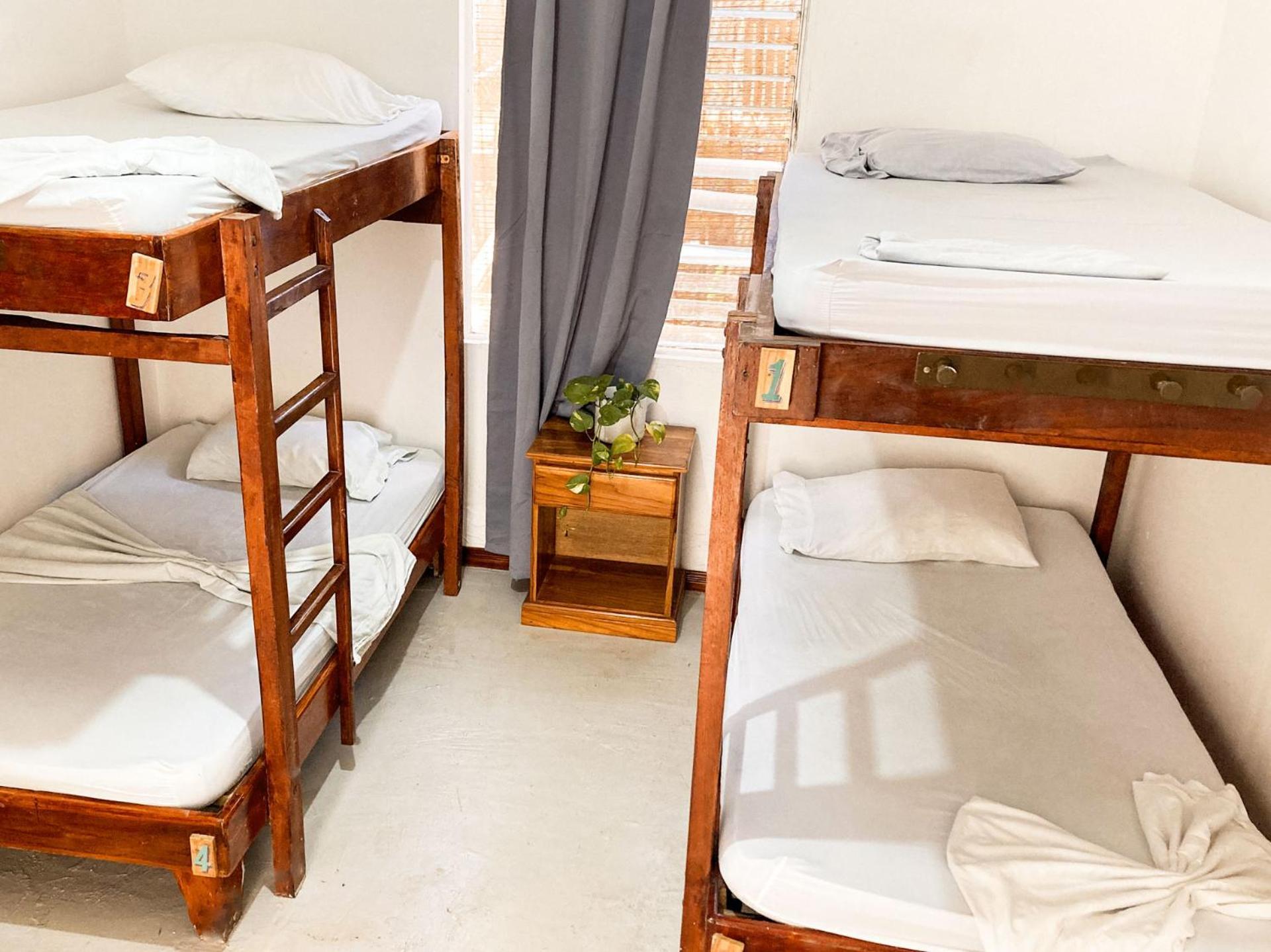 La Posada - Hostel Playa Santa Teresa  Εξωτερικό φωτογραφία