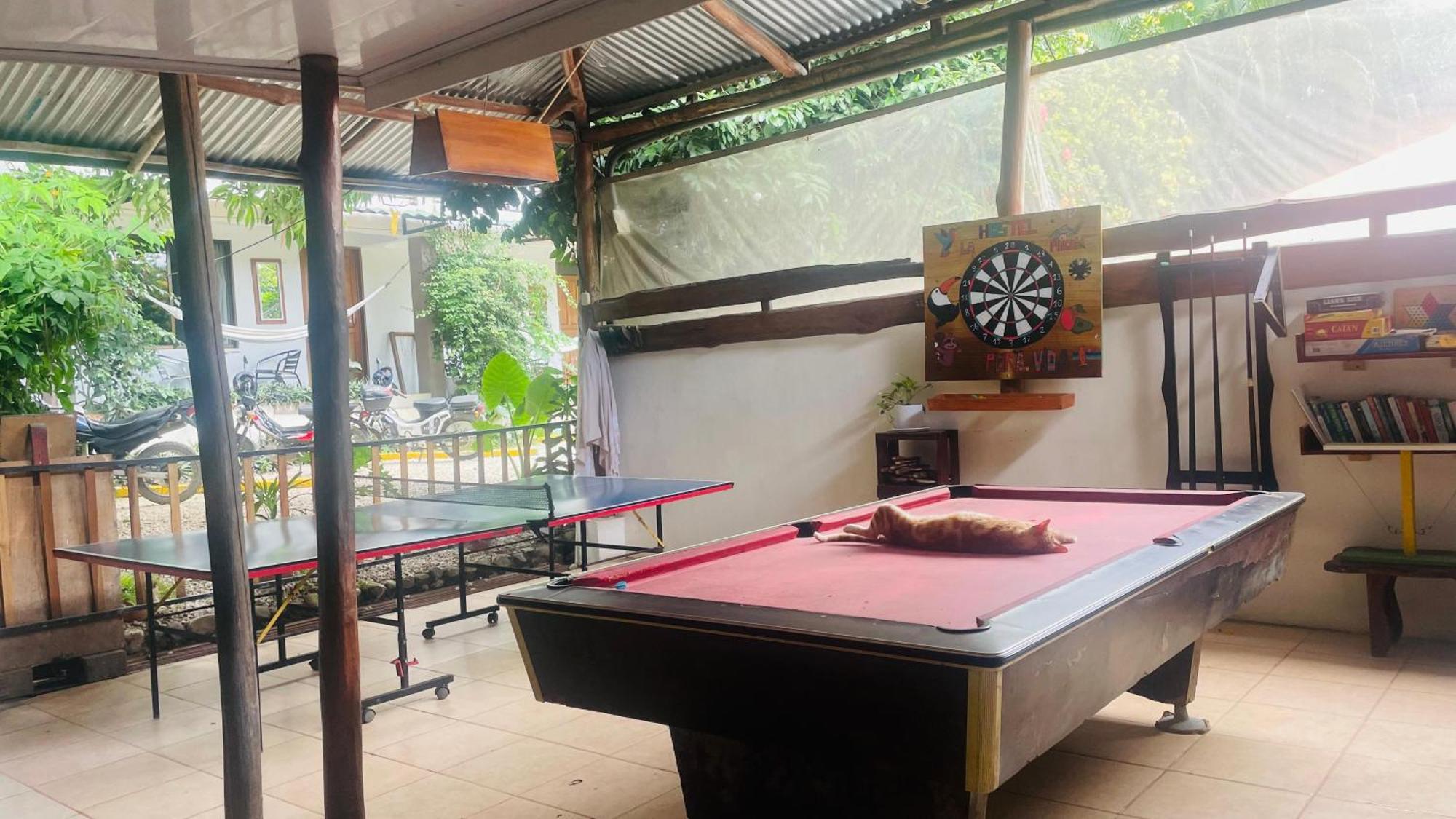 La Posada - Hostel Playa Santa Teresa  Εξωτερικό φωτογραφία